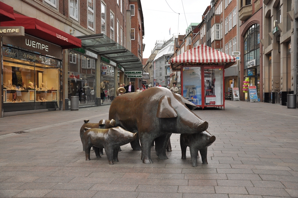 Bremen_Domuzlar